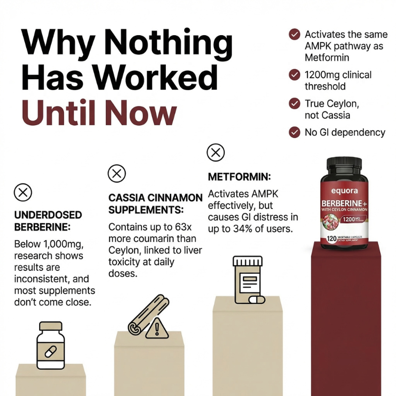 Berberine HCL + True Ceylon Cinnamon