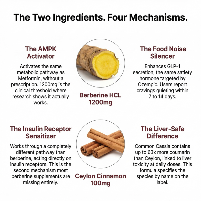 Berberine HCL + True Ceylon Cinnamon